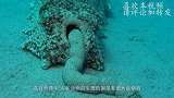 人受伤的伤口，是如何愈合？显微镜放大300倍后，场面太壮观！