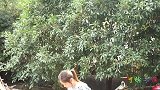 父母刚过世，哥哥把捡来的残疾妹妹赶走，5年后妹妹有钱后回来了