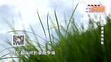 婆媳起争执，丈夫决定离婚拿5000块做补偿，妻子忍不住痛哭！