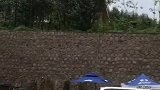雨后的感觉真好