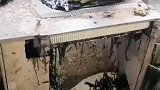 海带丝生产，手套都包浆了
