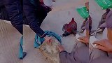 爆笑时刻：你家腊肉是新鲜的？