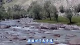 许巍《蓝莲花》没有激昂曲调却震撼无数人的心，给人力量百听不厌
