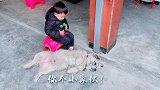 小主人和狗子的谈话，碰到个话痨小主人狗狗也无奈