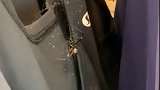 国外一名店员在服装上发现剧毒黑寡妇蜘蛛 被吓到尖叫