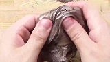 用各色彩妆给5坨透泰染色，无硼砂，你喜欢那个！
