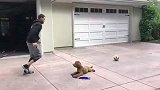篮球-17年-有小长假很开心 库里后院绕着狗狗练运球-新闻