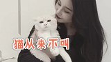 会喵喵叫的，不一定是猫，也有可能是人！