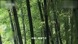 奢侈品包包都比不过这些！手艺人纯手工编造，好看实用又结实！