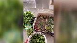 香菜火锅！我的最爱！