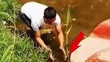 徒手抓鱼，结果失误了