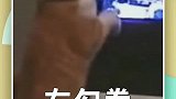 打他呀，笨，用天马流星拳啊！