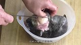 日本人买了条“带腿”的鱼，一摸肚子鼓鼓，切开一看难以置信！