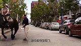 女子和海豹拍照，不料拍完刚起身，“啪”的一声，就挨了一巴掌！