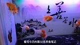 养鱼笔记1季32集：氧气泵，鱼店老板不会告诉你的