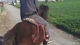 男子尝试骑马，没想马儿跑回马圈内