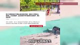 5岁男孩的裤子被铁钉刮破，默默将其敲平，网友：善良是刻在骨子里的教养