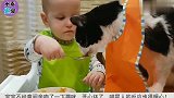 宝宝不经意间亲吻了一下猫咪,开心坏了,喵星人的反应也很暖心!