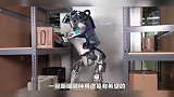 索尼称已在技术上准备好制造人形机器人，关键是要确定用途