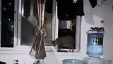 小猫咪深夜闯男寝，不吃到东西赖着不走