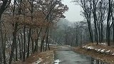 择一条小路，待一场小雪。