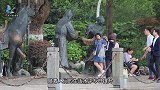 为什么越来越多人不愿买“滚筒洗衣机”？听听内行人怎么说