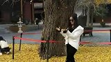为了让姑娘拍好照，不停的像她抛洒落叶！