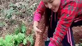 有人认识这个吗，非常好吃