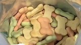 主人看剧误吃半袋宠物饼干，狗狗在一旁默默观察