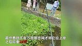 男子玩路亚钓到23斤“巨物”，抄网瞬间狂喜路人沸腾：鱼竿都差点断裂