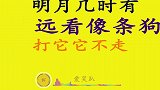 鬼畜字幕说唱：贾队长版本江南style