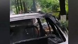 悲剧！四川南部县一老年代步车自燃 车上2名幼童不幸被烧死