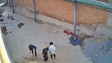 早知道我就不让姐姐学跆拳道了！