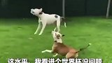 足球再努努力，或许拿个奖杯也是有可能的