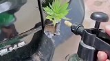万能的网友们，帮我想个名字，网友杠上开花！