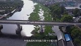中国一动物泛滥成灾，政府放“大招”，设高额赏金鼓励逮捕！
