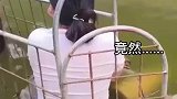 本命年还有一劫！下河凉快去了，现实版浸猪笼？