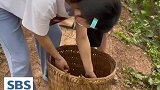 差点因为一条鱼断绝父女关系，老爸：今天回去就连夜准备好嫁妆