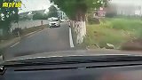行车记录仪女司机不会判断车距，躲过奥迪，却没躲过树干