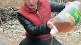大锅炖麻辣大骨头，看着都有食欲啊！