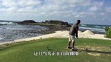 一只鸟被高尔夫球打中，从此走上“复仇”之路，镜头记录搞笑一幕