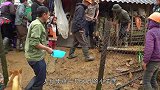 村民土方法制作50斤小羊羔，直接放到火上烧，上桌后都不够抢！