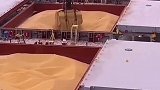 5万吨的粮食，今天到达青岛港，得卸多长时间