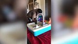 天哪！猴子都会洗衣服了 这是要成精的节奏啊