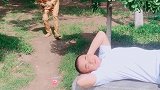 哎呀妈呀，你居然把草垛子盖我脸上！