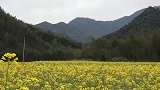 皖南川藏线风景宜人