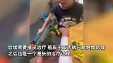 2岁男童菜市场接触鱼住进ICU，已被截掉4根脚趾，单亲父亲在线求助