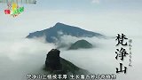 日本综艺介绍贵阳梵净山，直言世界也找不到第二个相似的地方！