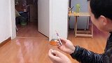 主人问金毛，要鸡腿还是要命，金毛在吃面前一切都是浮云