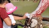 女孩玩狮吼功走起，爸爸用口罩隔着，这个动作也太心细！